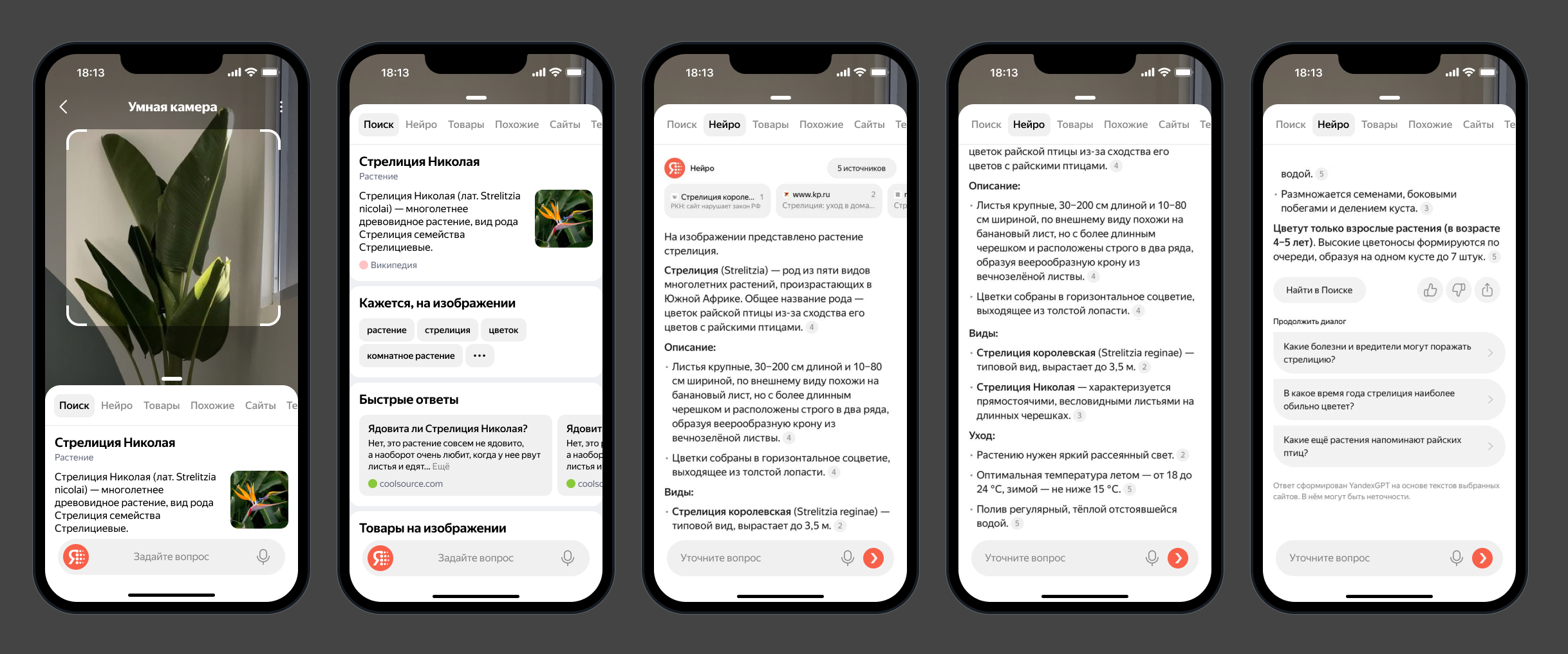 Запрос к Нейро по картинке